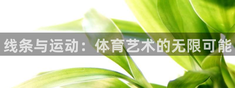 MK体育官网下载平台注册:线条与运动:体育艺术的无限可能