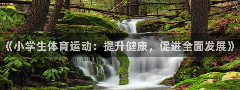 MK体育官网下载招商电话是多少:《小学生体育运动:提升健康,