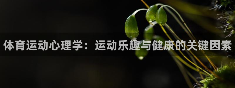 海南MK体育官网下载:体育运动心理学:运动乐趣与健康的关键因